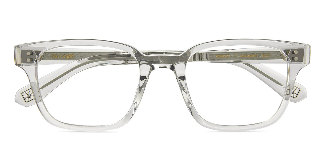 Mr Leight - Surveyor C - Quicksilver/Platinum